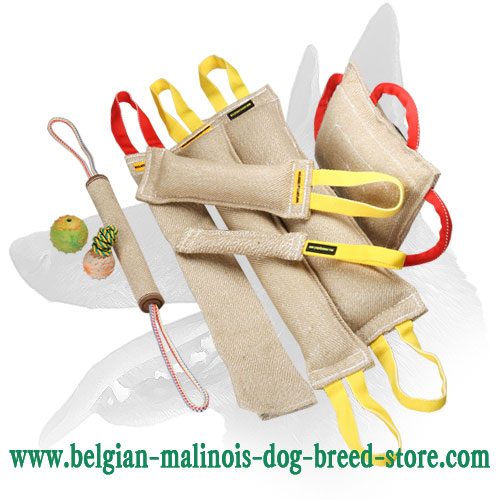 Buy Jute Dog Training Set, Bite Roll, Toys, Rag