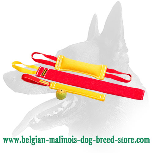 https://www.belgian-malinois-dog-breed-store.com/images/large/Belgian-Malinois-Training-Set-TE64_LRG.jpg