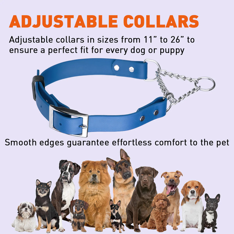 Metal martingale hot sale collar