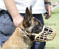 https://www.belgian-malinois-dog-breed-store.com/images/malinois-plastic-wire-dog-muzzle-belgian-malinois-muzzle-M20.jpg